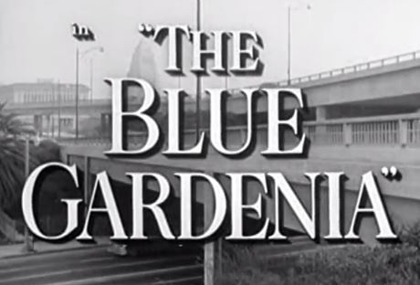 The Blue Gardenia 1953