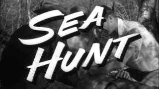 Sea Hunt 1×20 Alligator Story