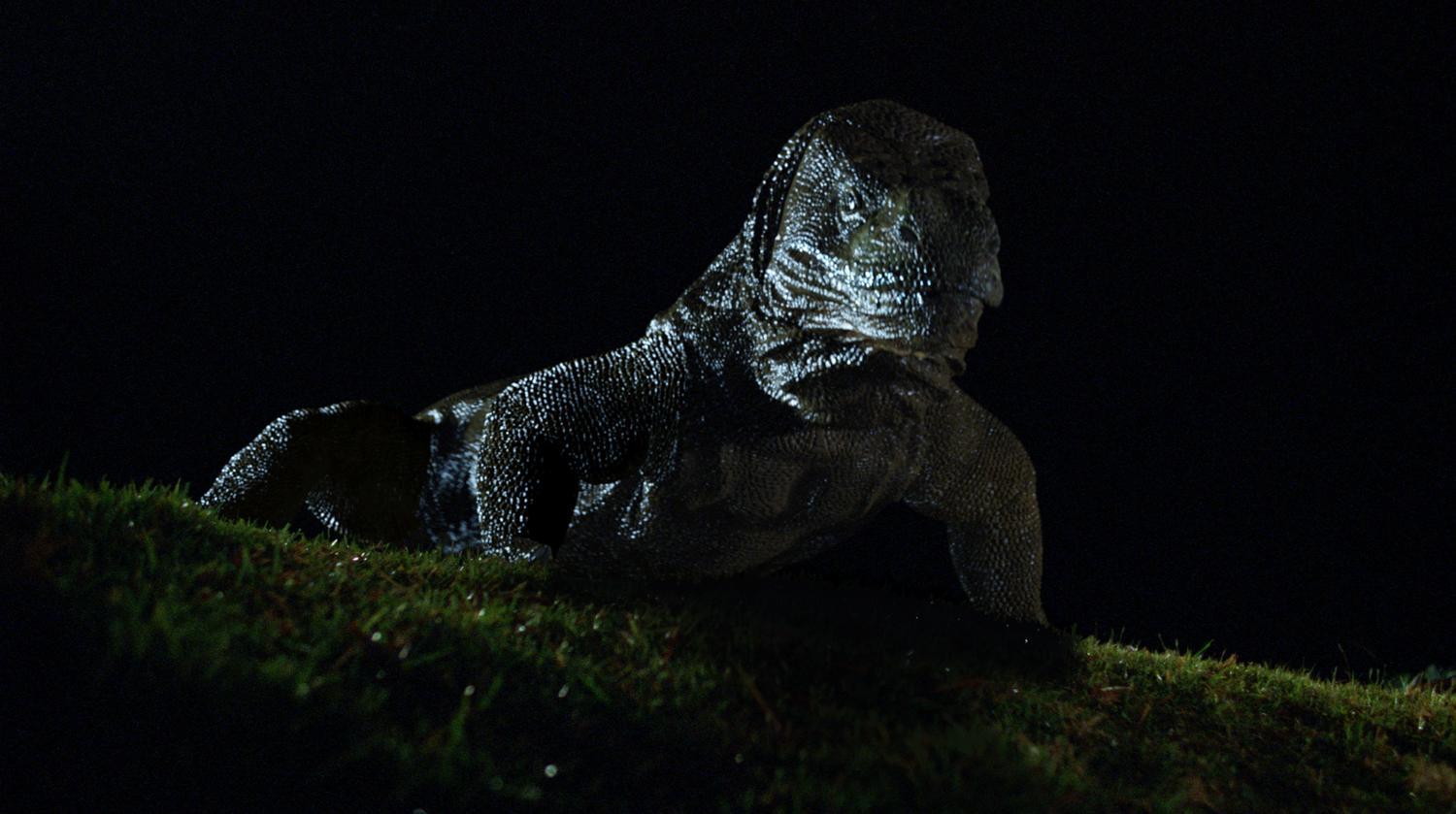 Komodo 1999