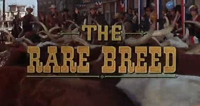 The Rare Breed 1966
